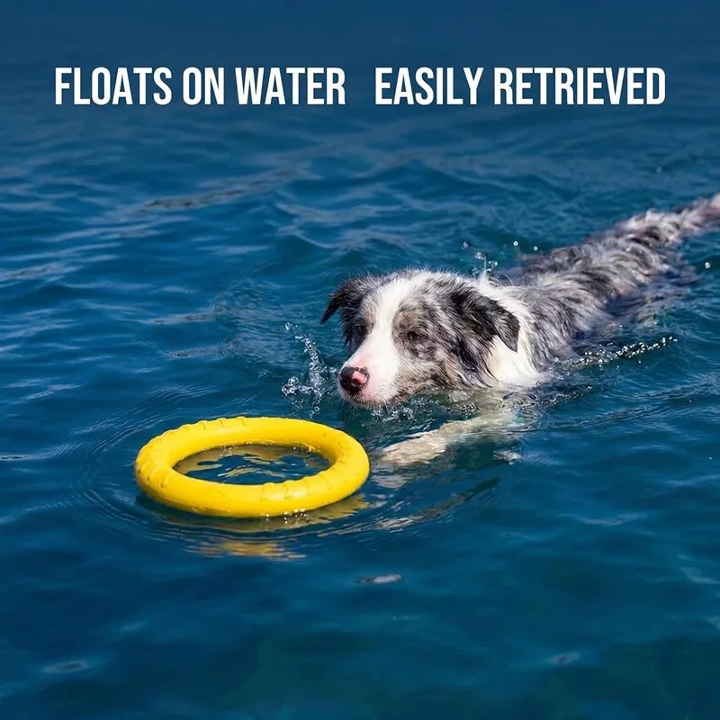 Aro Mordedor Flotante Para Perros ComfortCose - Juguete interactivo y resistente