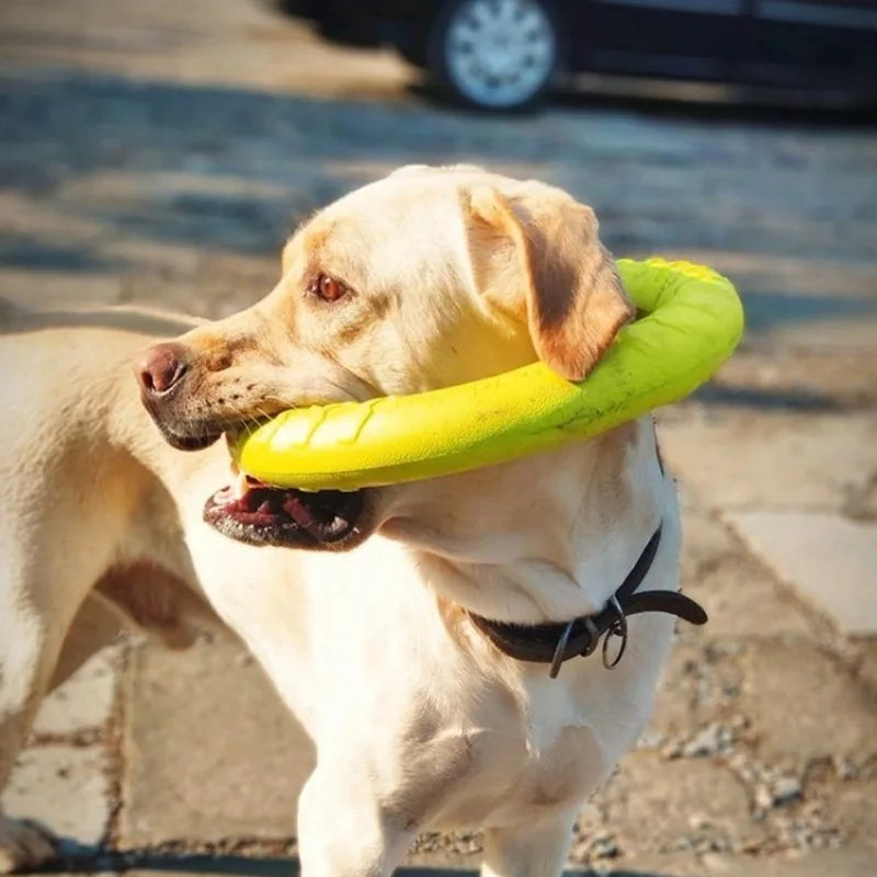 Aro Mordedor Flotante Para Perros ComfortCose - Juguete interactivo y resistente